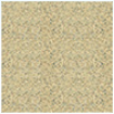Beach Sand